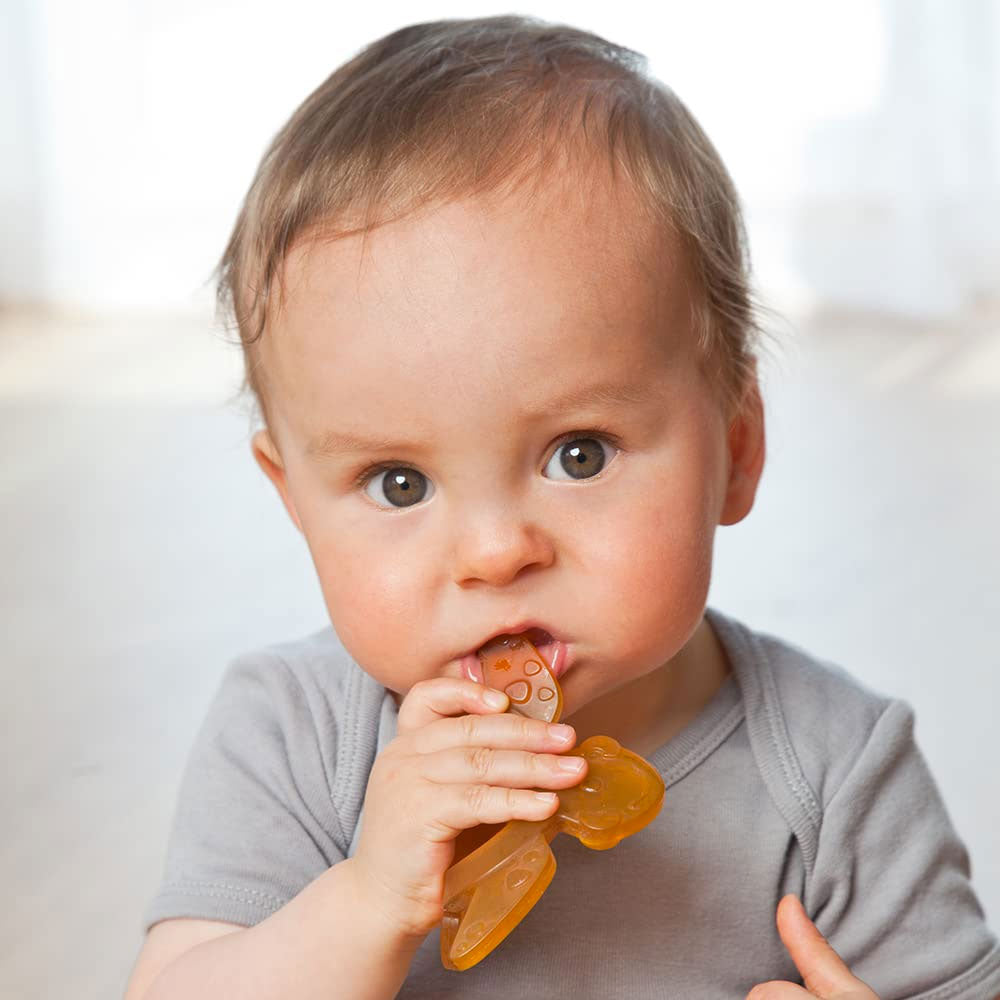 Anneau de dentition en caoutchouc naturel Grünspecht – Tortue