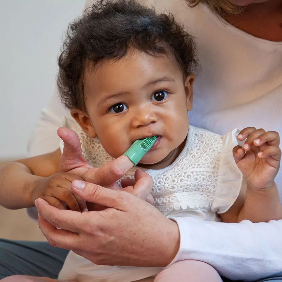 SOS Box poussée dentaire Grünspecht