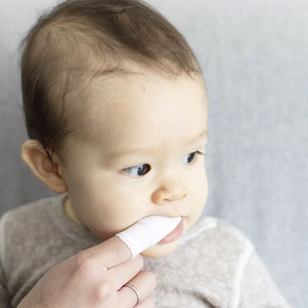 SOS Box poussée dentaire Grünspecht