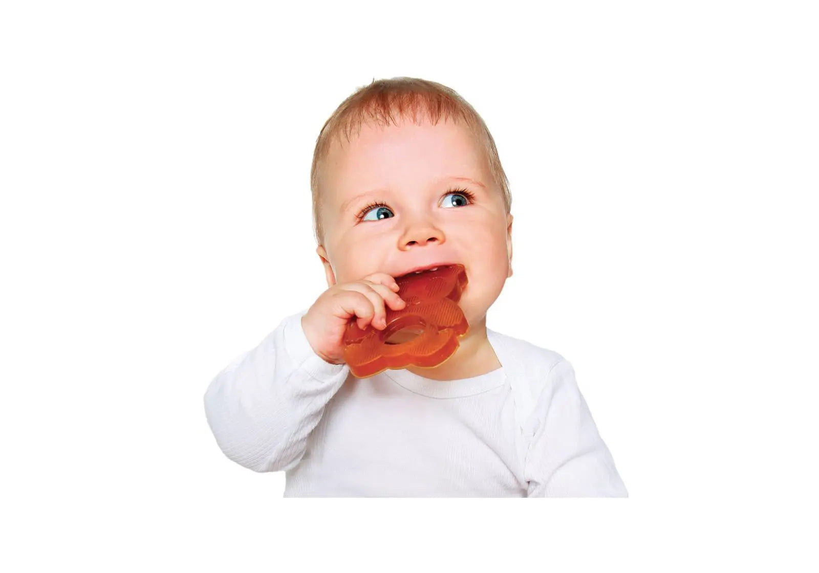 Anneau de dentition Panda Hévéa