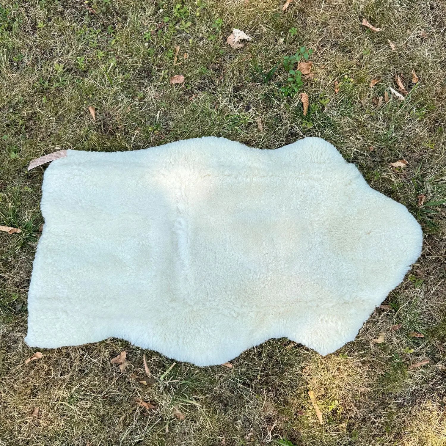 Peau d’agneau Mimosa à tannage végétal Kaiser - 80-90cm