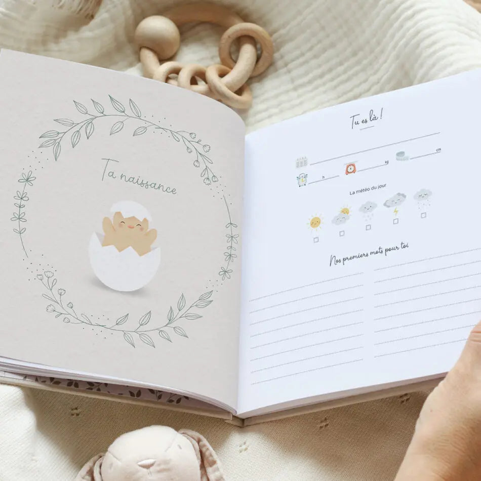 Livre Souvenirs de bébé première année Zü - Lilinappy