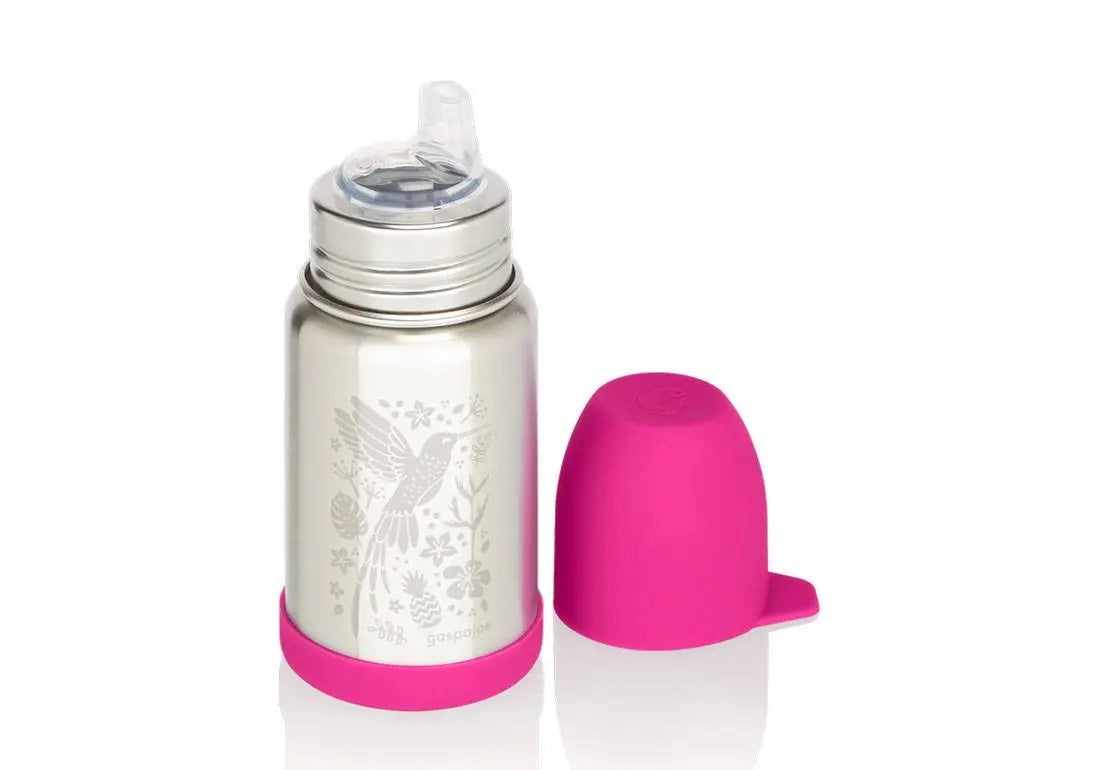 Gourde Inox Sippy Gaspajoe - Colibri