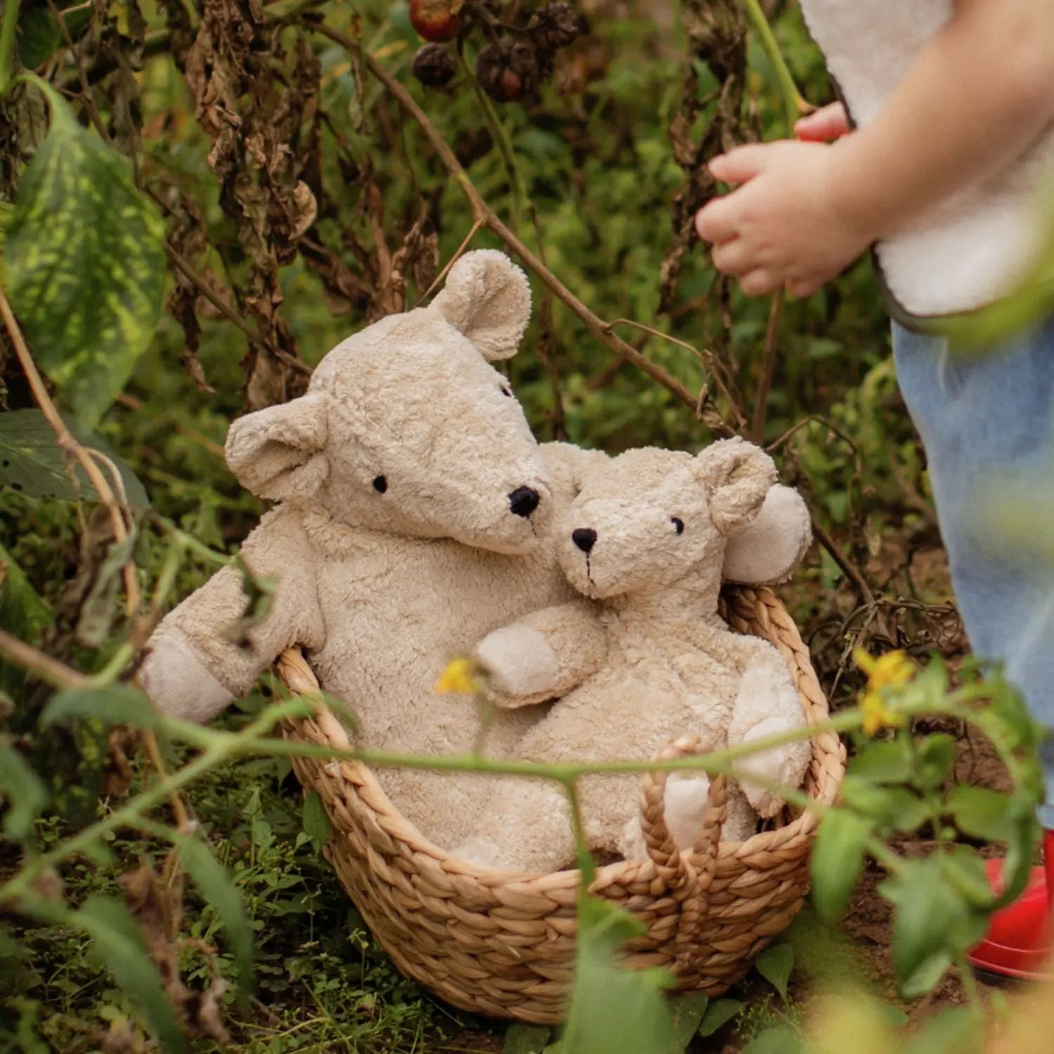 Doudou bouillotte en coton bio & laine Senger Naturwelt - Petit ours lin