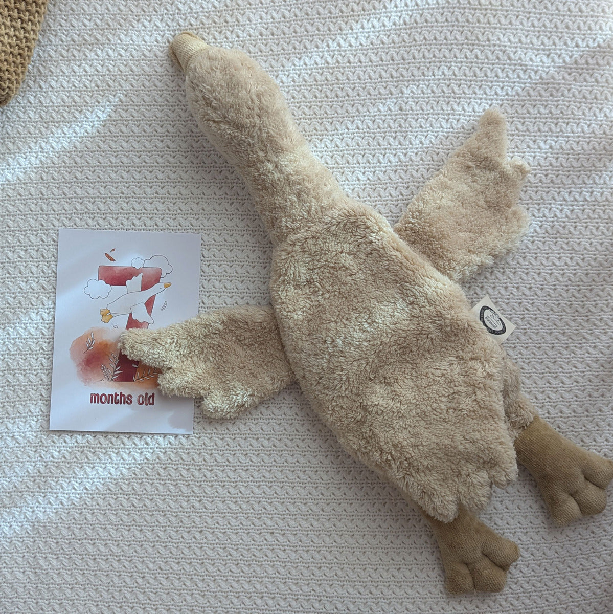 Doudou bouillotte Oie Senger Naturwelt - Sable - Lilinappy
