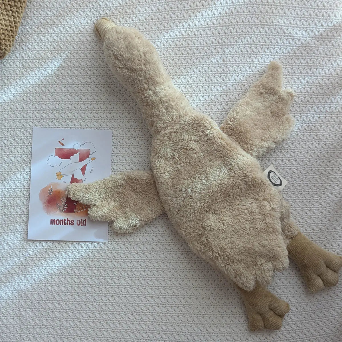 Doudou bouillotte Oie Senger Naturwelt - Sable - Lilinappy