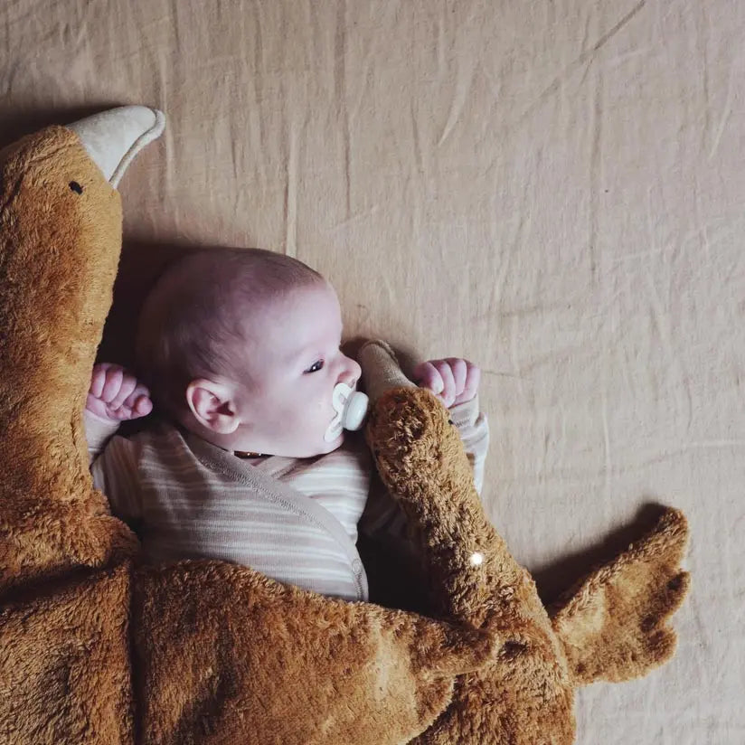 Doudou bouillotte en coton bio & laine Senger Naturwelt - Oie rouille