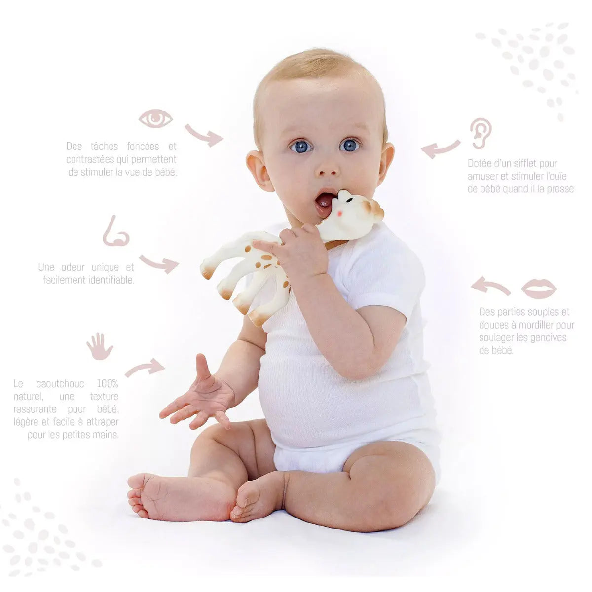 Sophie la girafe & Sucette de dentition So'Pure en caoutchouc naturel - Lilinappy