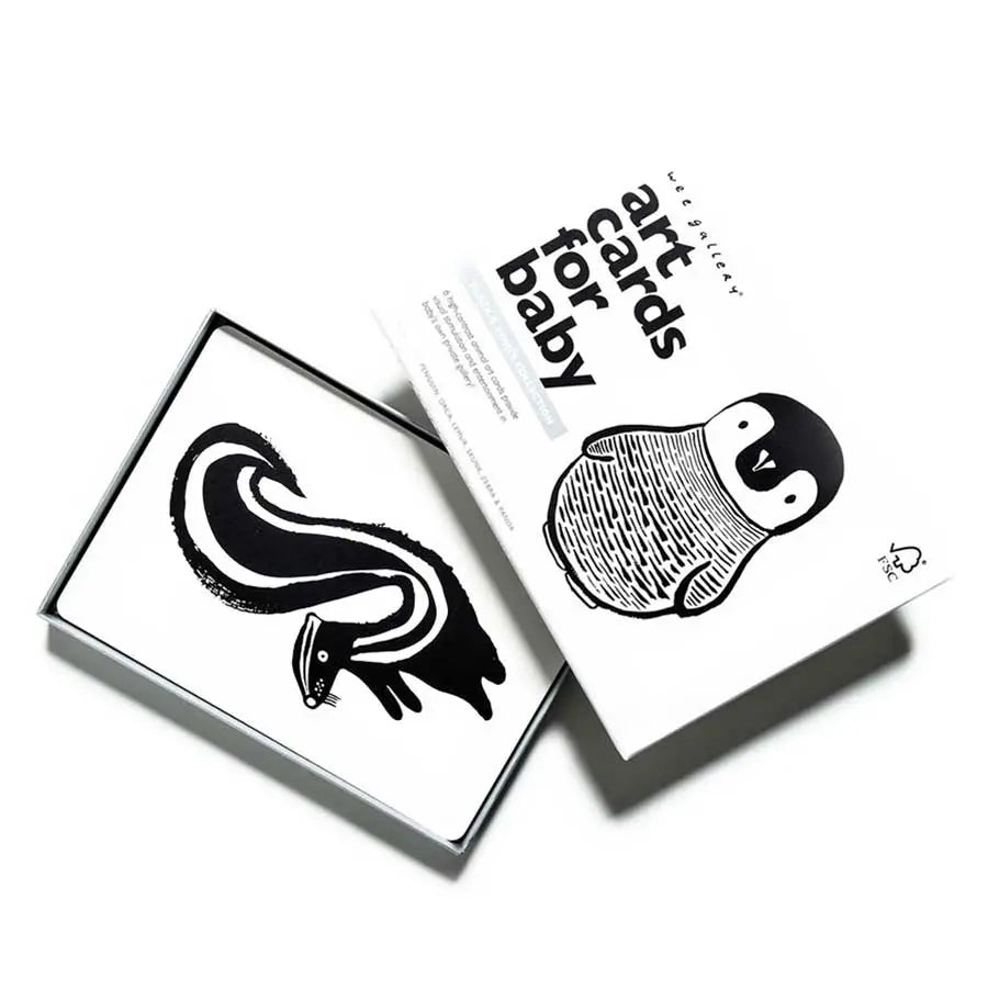 Cartes pour bébé en noir & blanc Wee Gallery Art