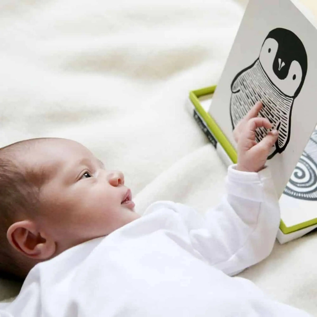 Cartes pour bébé en noir et blanc Wee Gallery - Jungle