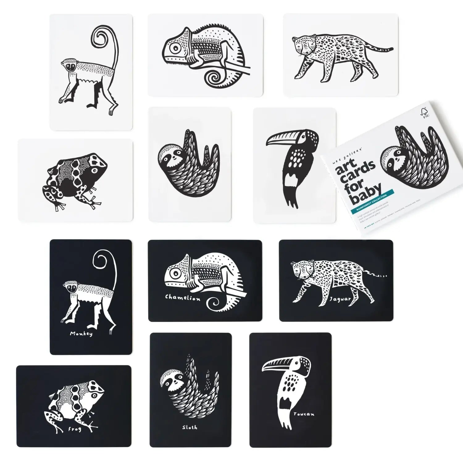 Coffret Cadeau support & cartes contrastées Wee Gallery - Rainforest