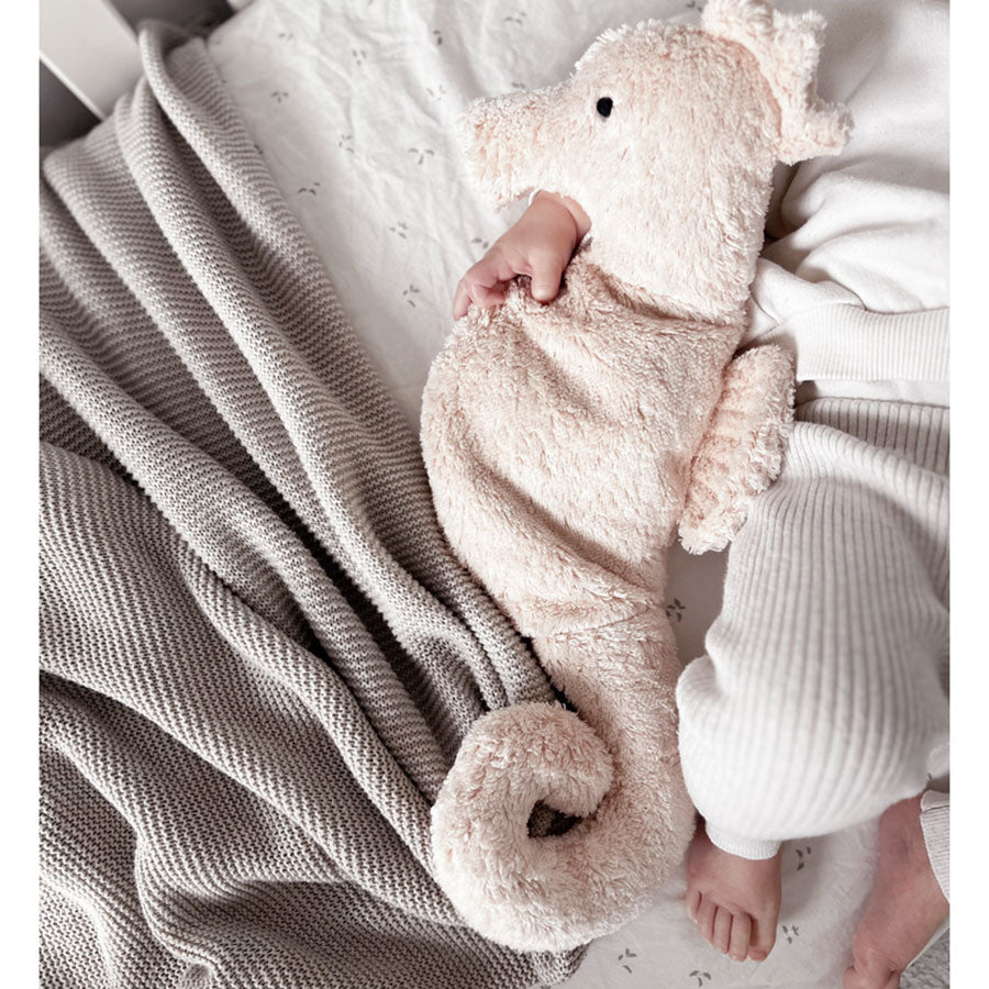 Doudou bouillotte Hippocampe Senger Naturwelt - petit modèle
