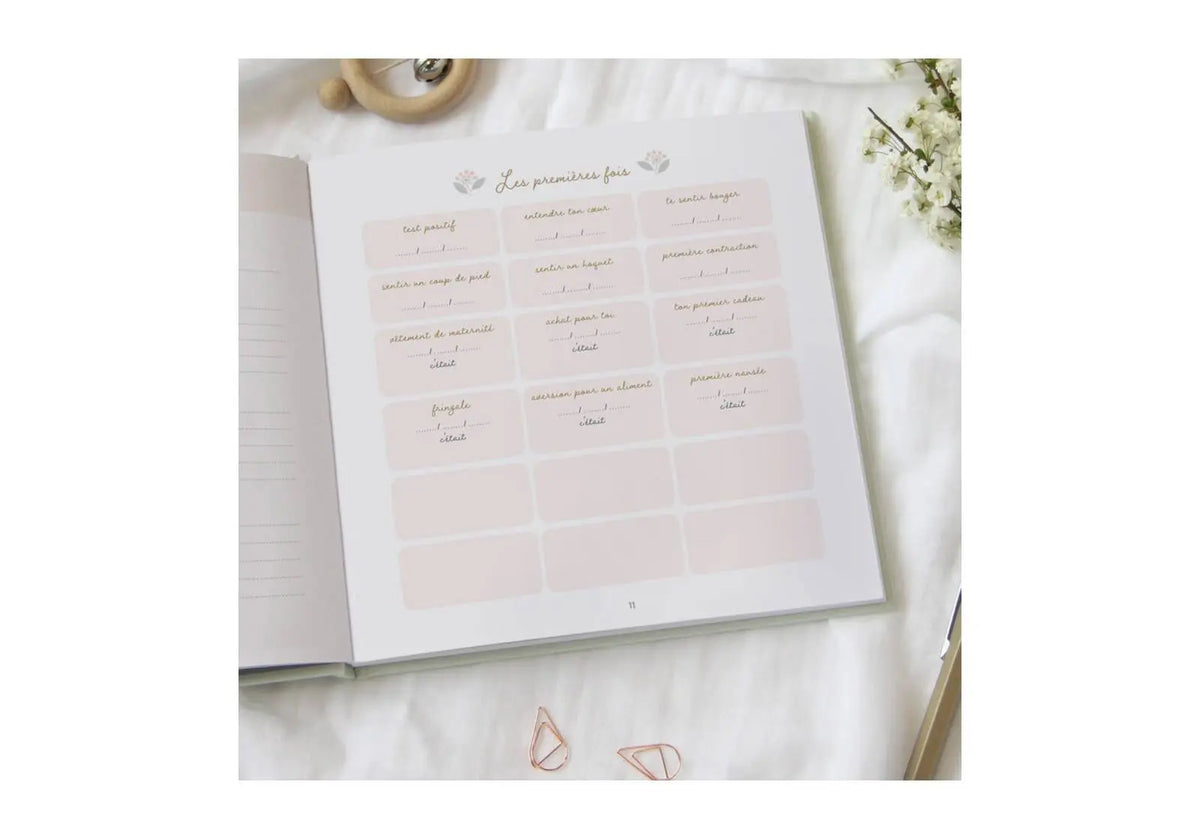 Journal de grossesse Zü
