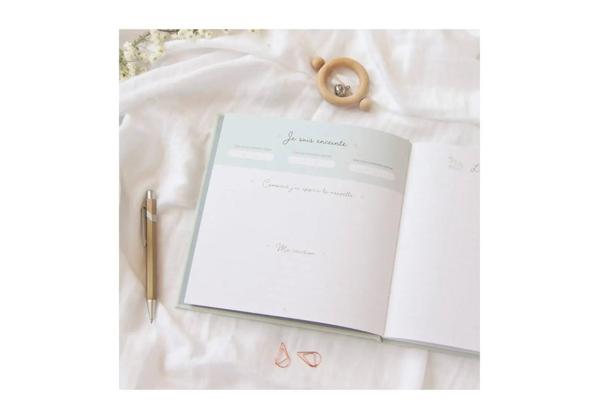 Journal de grossesse Zü
