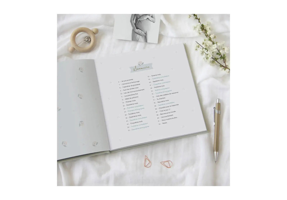 Journal de grossesse Zü