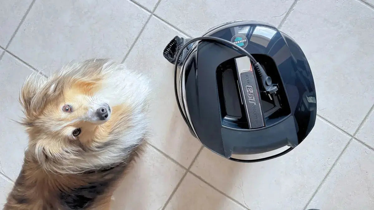 Poils d’animaux, allergies et HYLA : ce qu’il peut vraiment changer à la maison Lilinappy