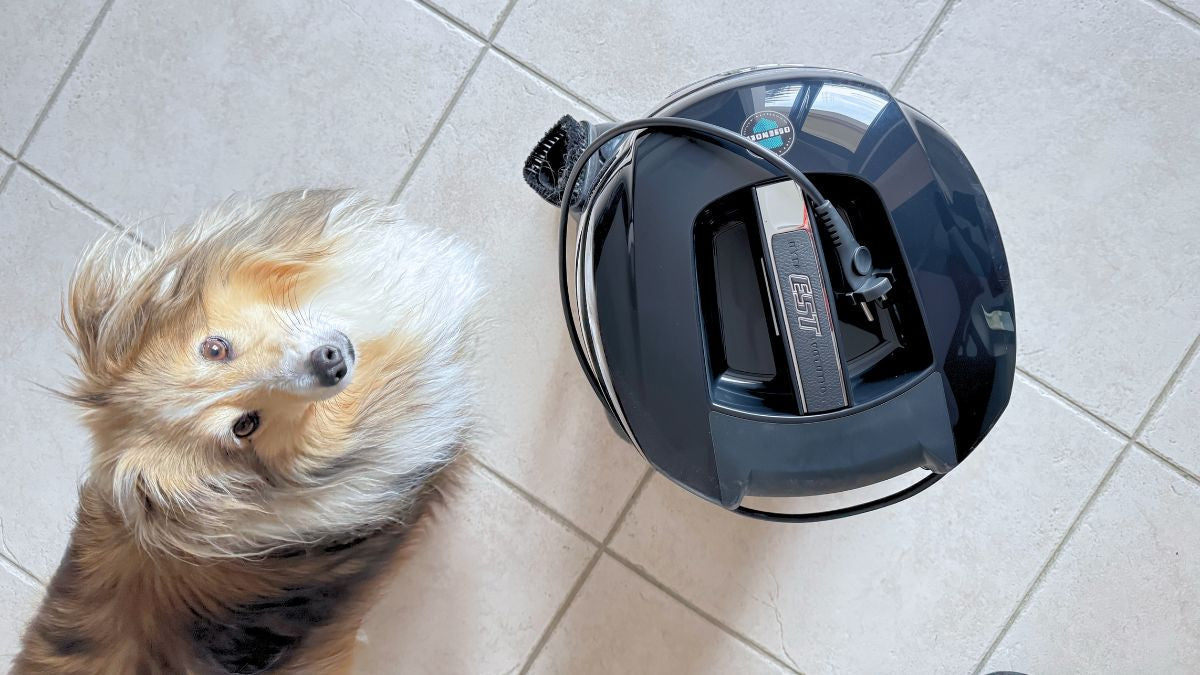 Poils d’animaux, allergies et HYLA : ce qu’il peut vraiment changer à la maison