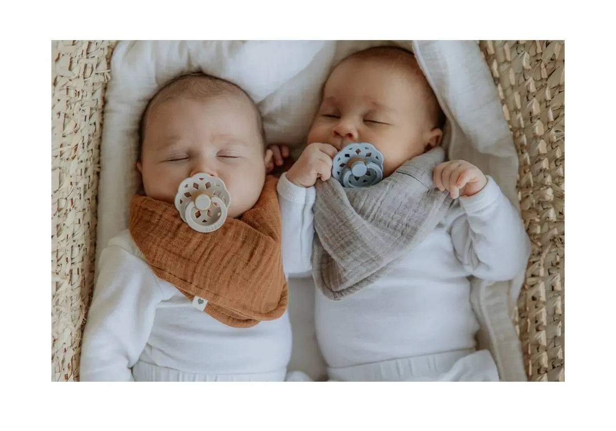 Tétine en caoutchouc naturel Bibs - Bohème Vert sauge - Lilinappy