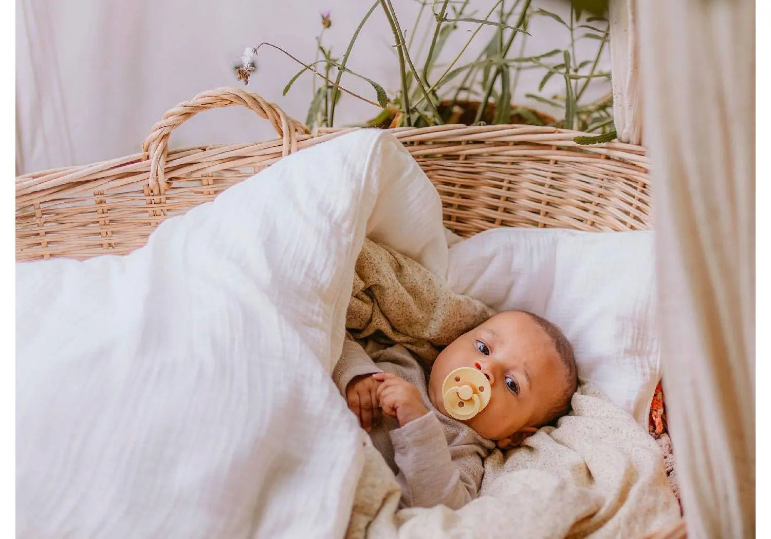 Tétine en caoutchouc naturel Bibs - Mauve - Lilinappy