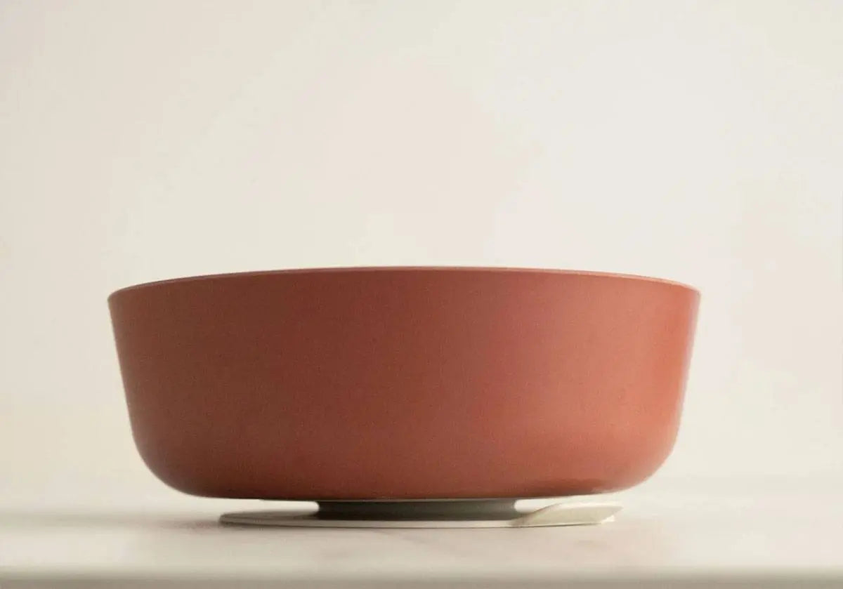 Lot de 2 ventouses universelles pour assiette et bol Ekobo - Lilinappy