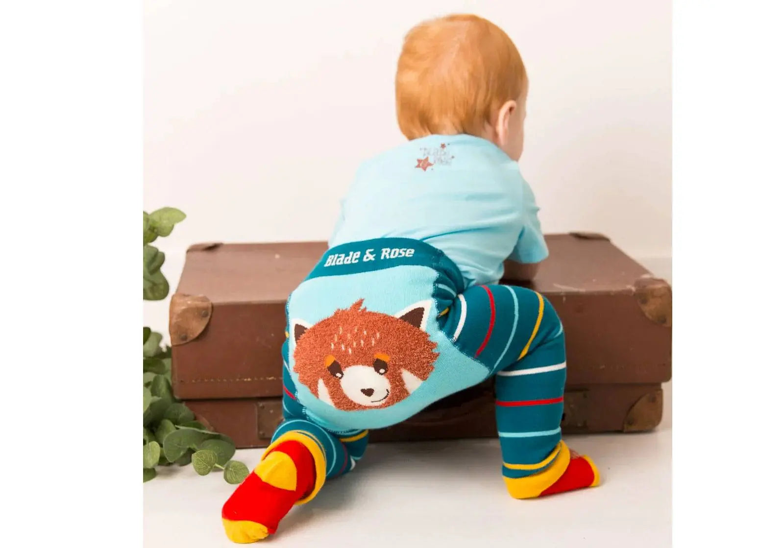 Leggings bébé Blade and Rose - Chip the Red Panda 