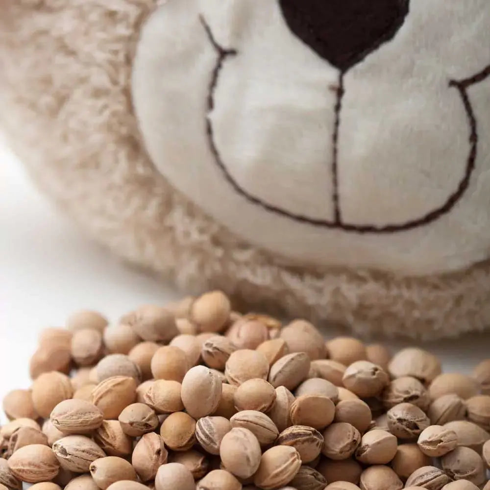 Coussin bouillotte aux noyaux de cerises Grünspecht - Ice bear - Lilinappy