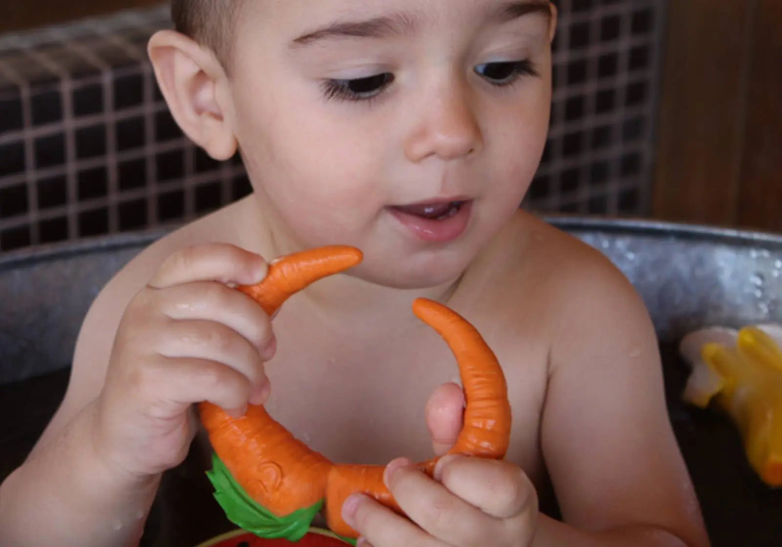 Cathy the Carrot Oli & Carol 