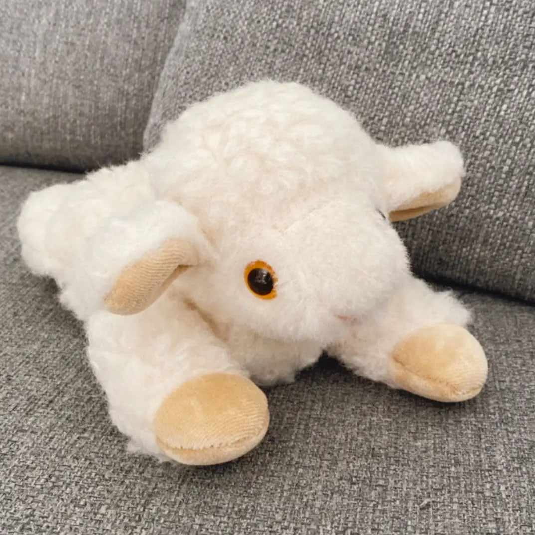 Bouillotte agneau en laine et noyaux de cerise Saling