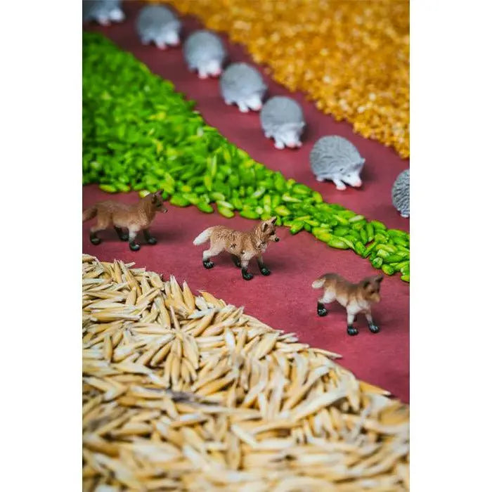 Bouteille sensorielle Petit Boum - Forêt Petit Boum