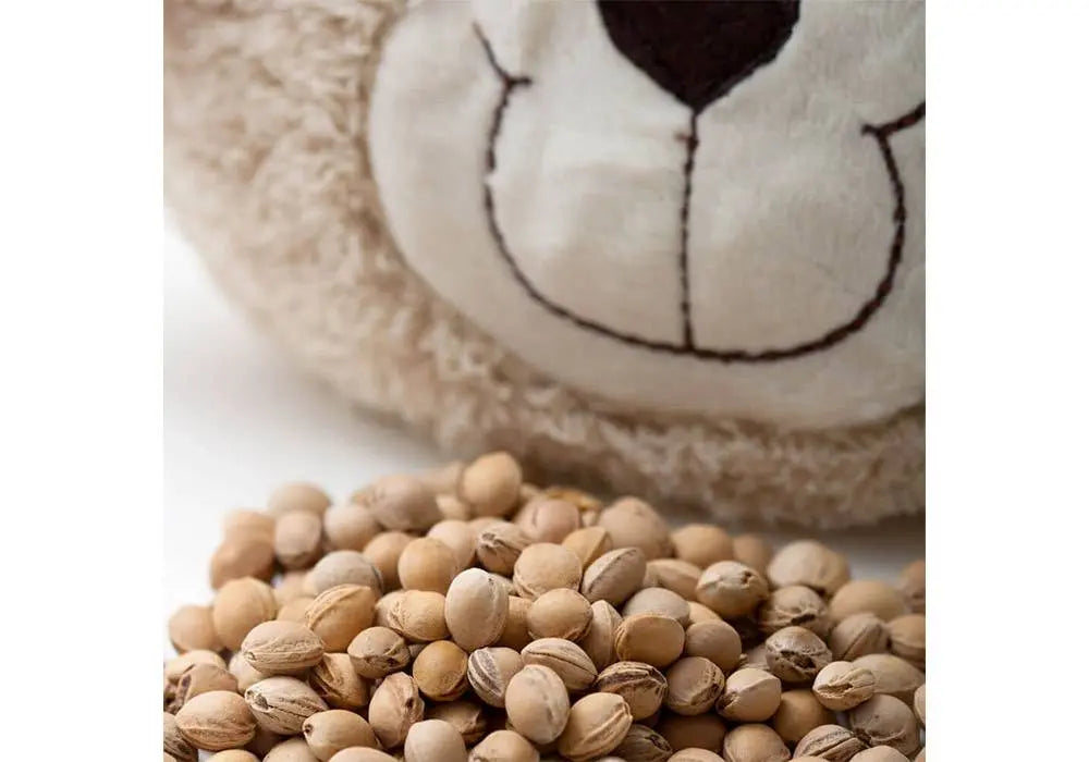 Coussin bouillotte aux noyaux de cerises Grünspecht - Chat Grünspecht