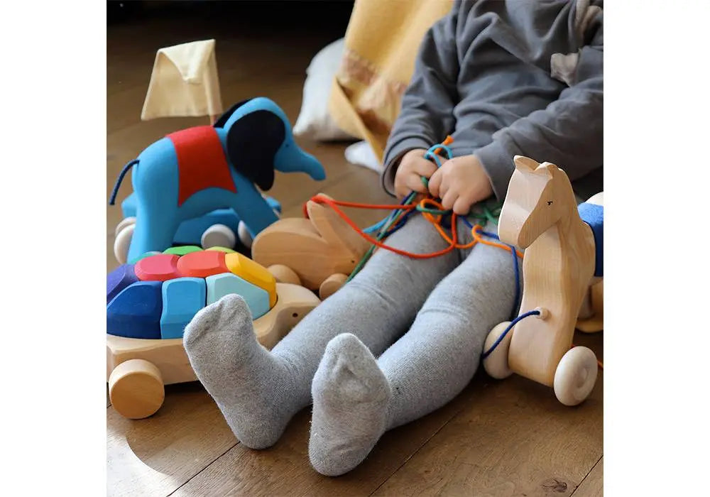 Tortue multicolore en bois à tirer Grimm's Grimms