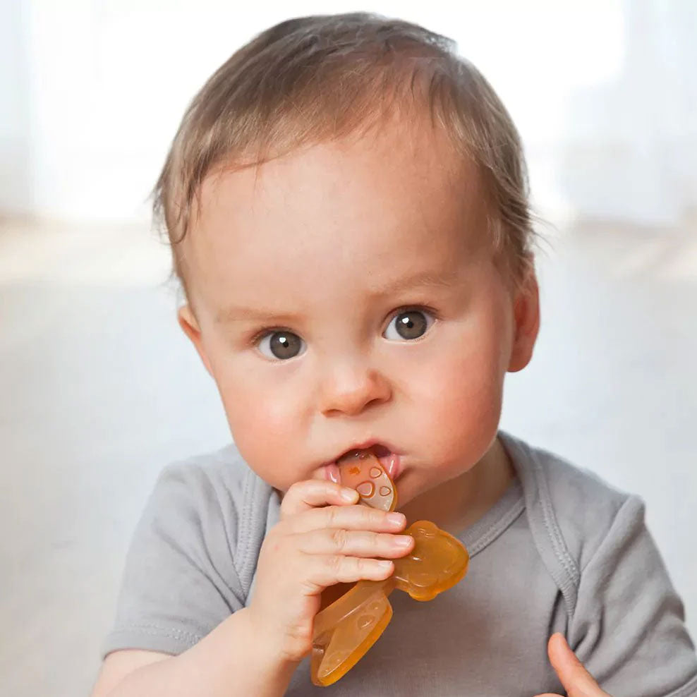 SOS Box poussée dentaire Grünspecht