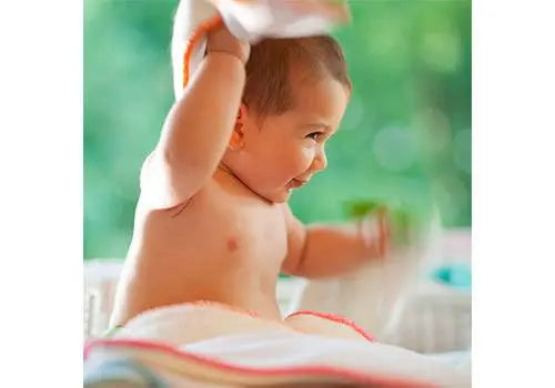 Lot de 6 inserts lavables Stay Dri Culla di Teby