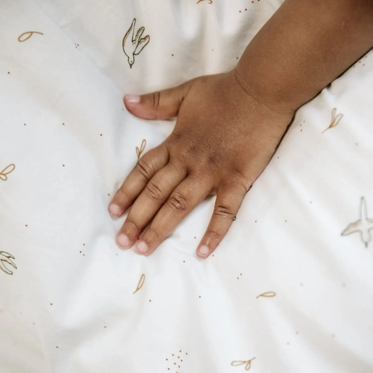 Drap housse coton bio Kadolis pour lit enfant  - L'envolée