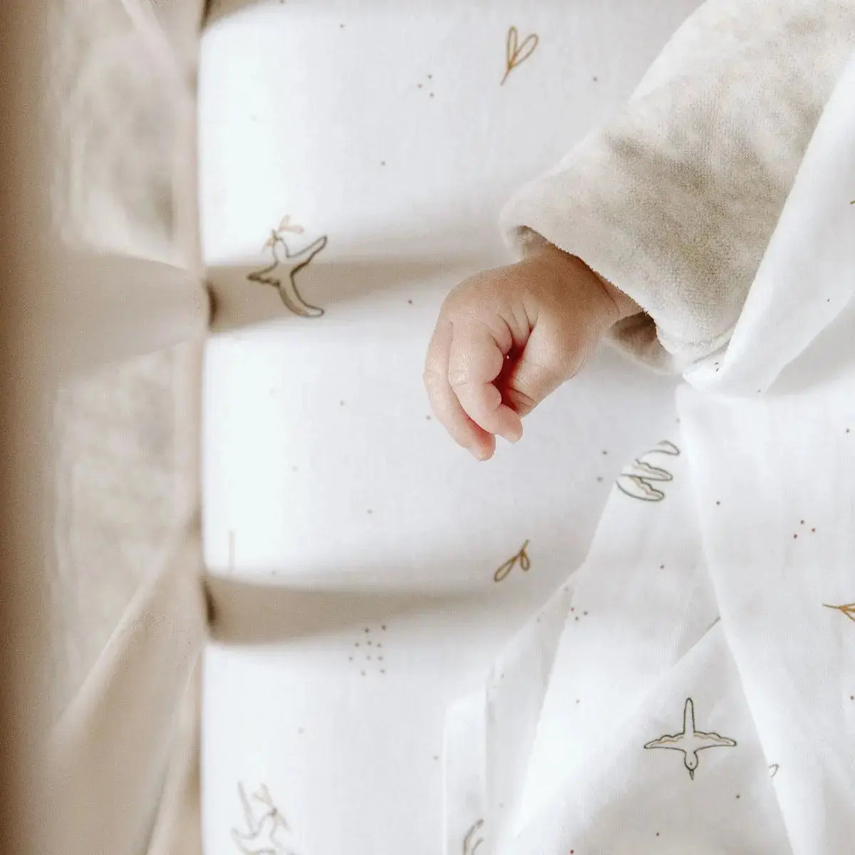 Drap-housse berceau en coton bio  Kadolis - L’Envolée 