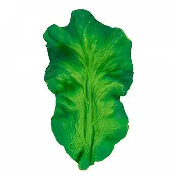 Kendall the Kale Oli & Carol 