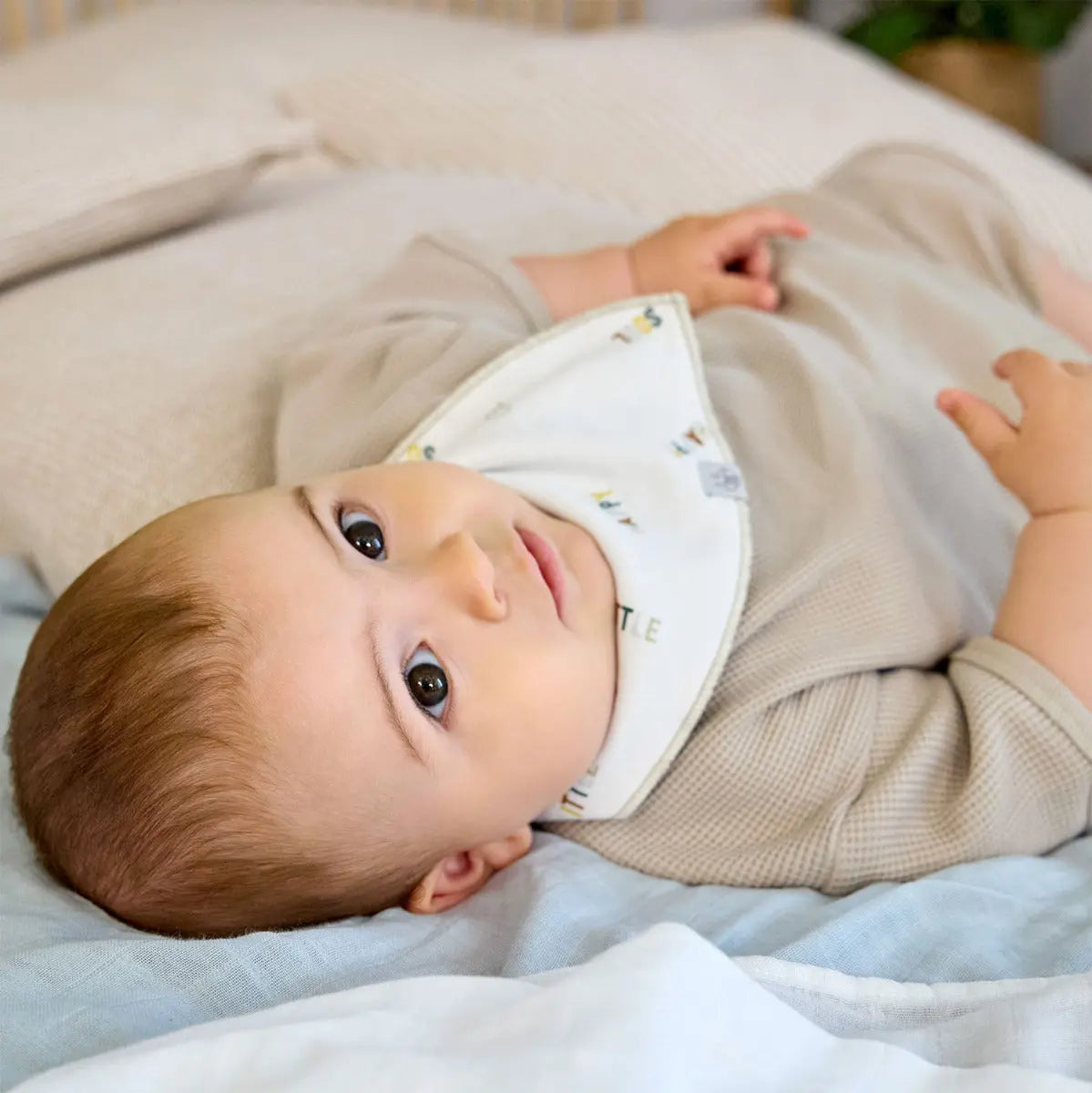Bavoirs bandana en coton bio Lässig - Happy Fruits Citron - Lilinappy