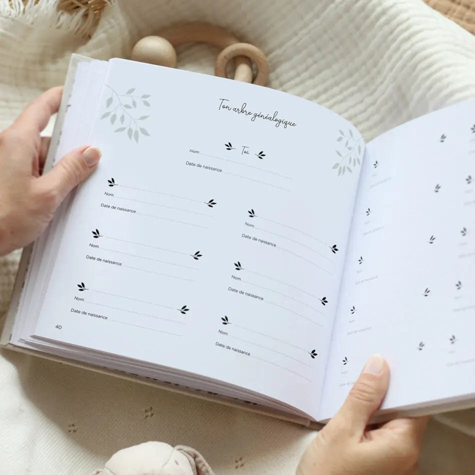 Livre Souvenirs de bébé première année Zü - Lilinappy