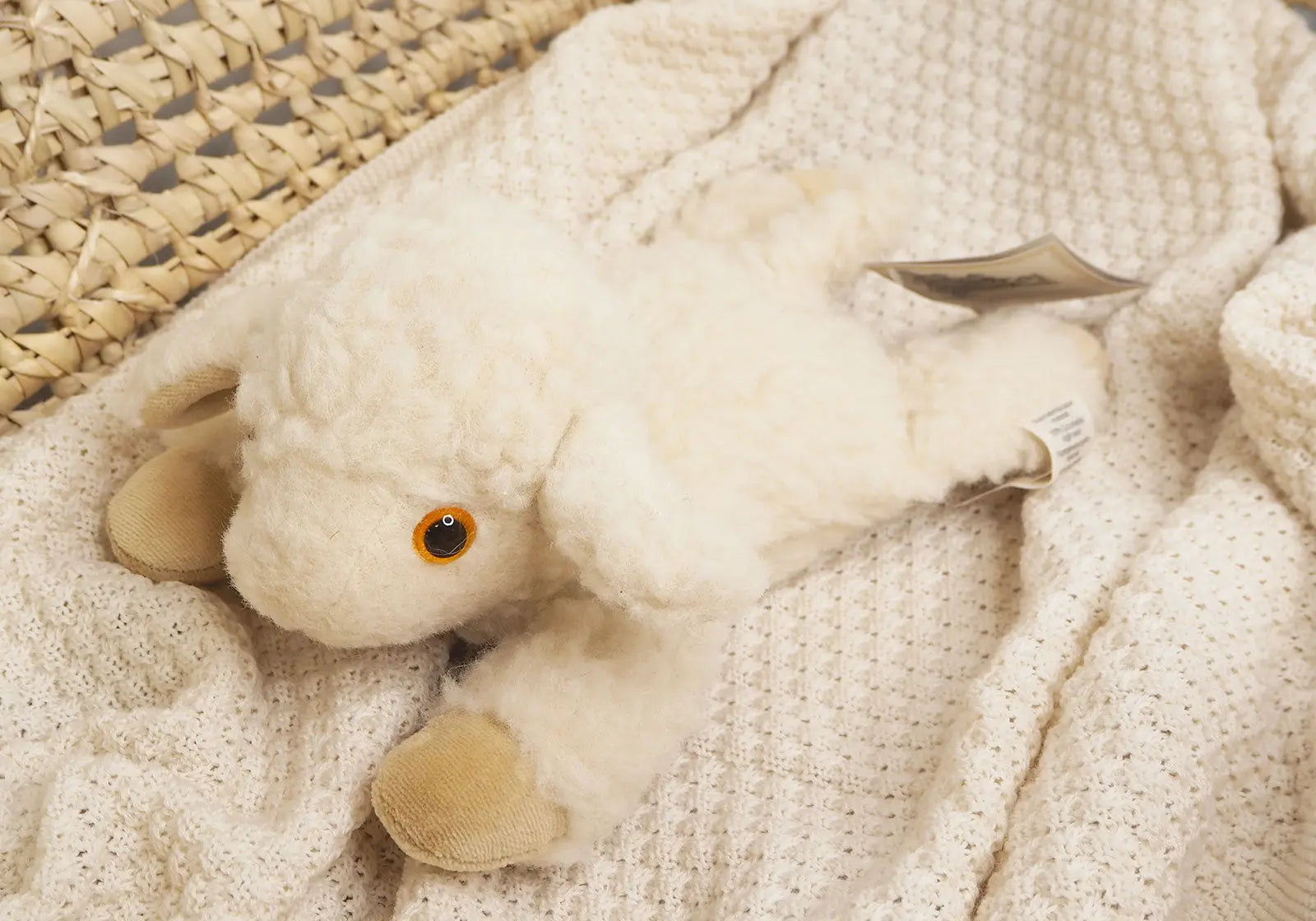 Bouillotte agneau en laine et noyaux de cerise Saling