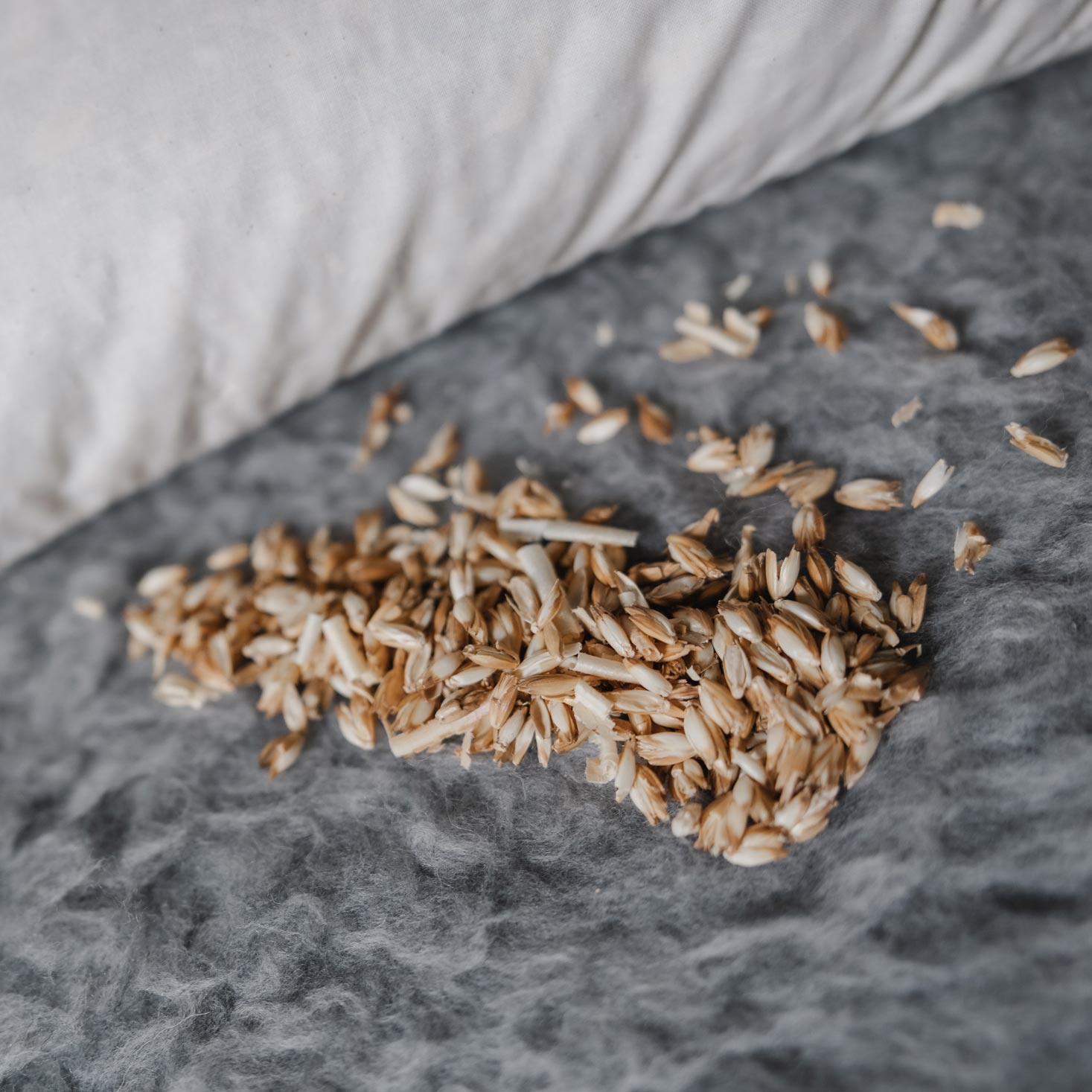 Oreiller aux balles d’épeautre et pin cembro Saling 40x60 cm 