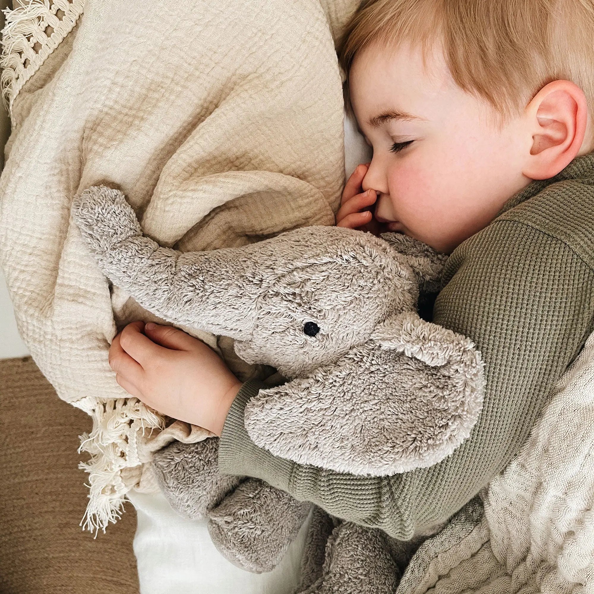 Doudou bouillotte en coton bio & laine Senger Naturwelt - Éléphant gris 