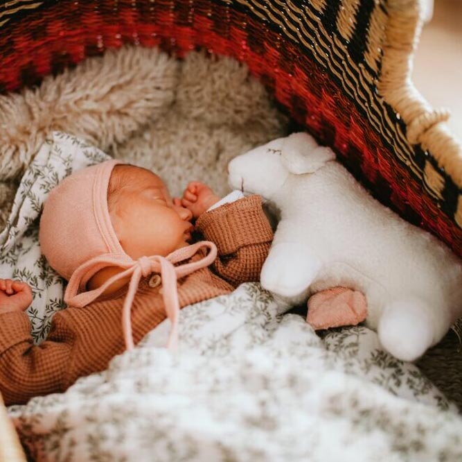 Peluche musicale en coton bio & laine Senger Naturwelt - Mouton 