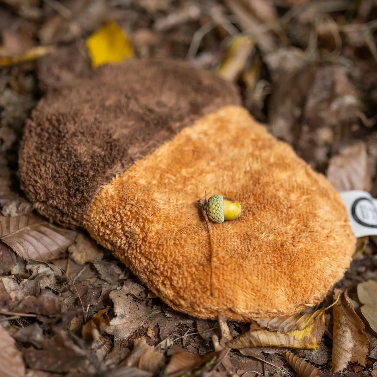 Bouillotte sèche en coton bio Senger Naturwelt - Gland