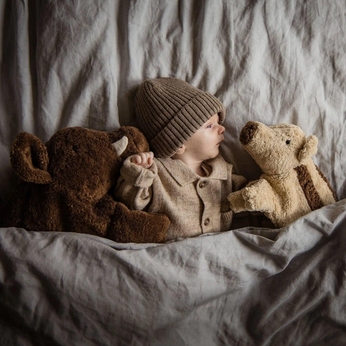 Doudou bouillotte en coton bio Senger Naturwelt - Sanglier