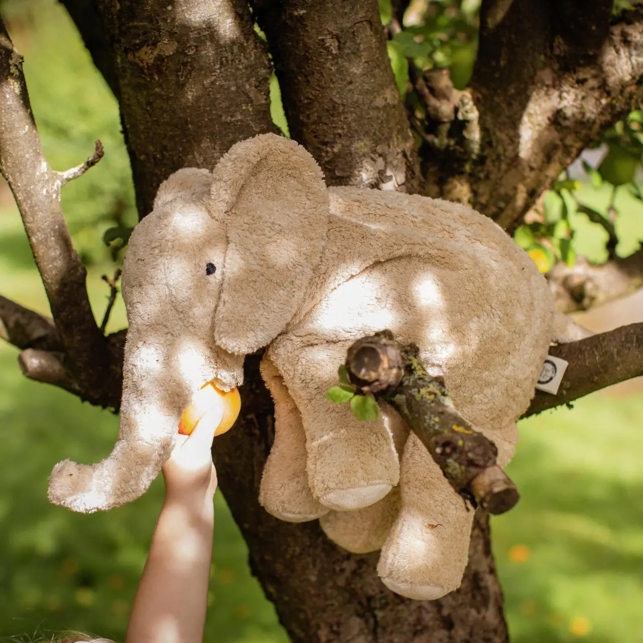 Doudou bouillotte en coton bio & laine Senger Naturwelt - Éléphant 