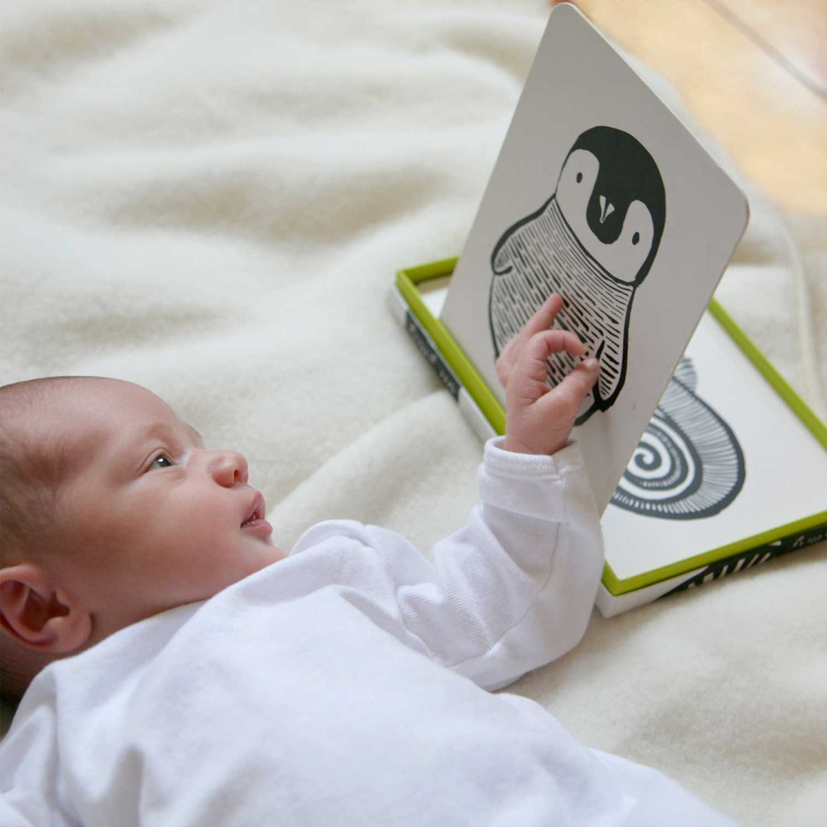 Cartes pour bébé en noir & blanc Wee Gallery Art