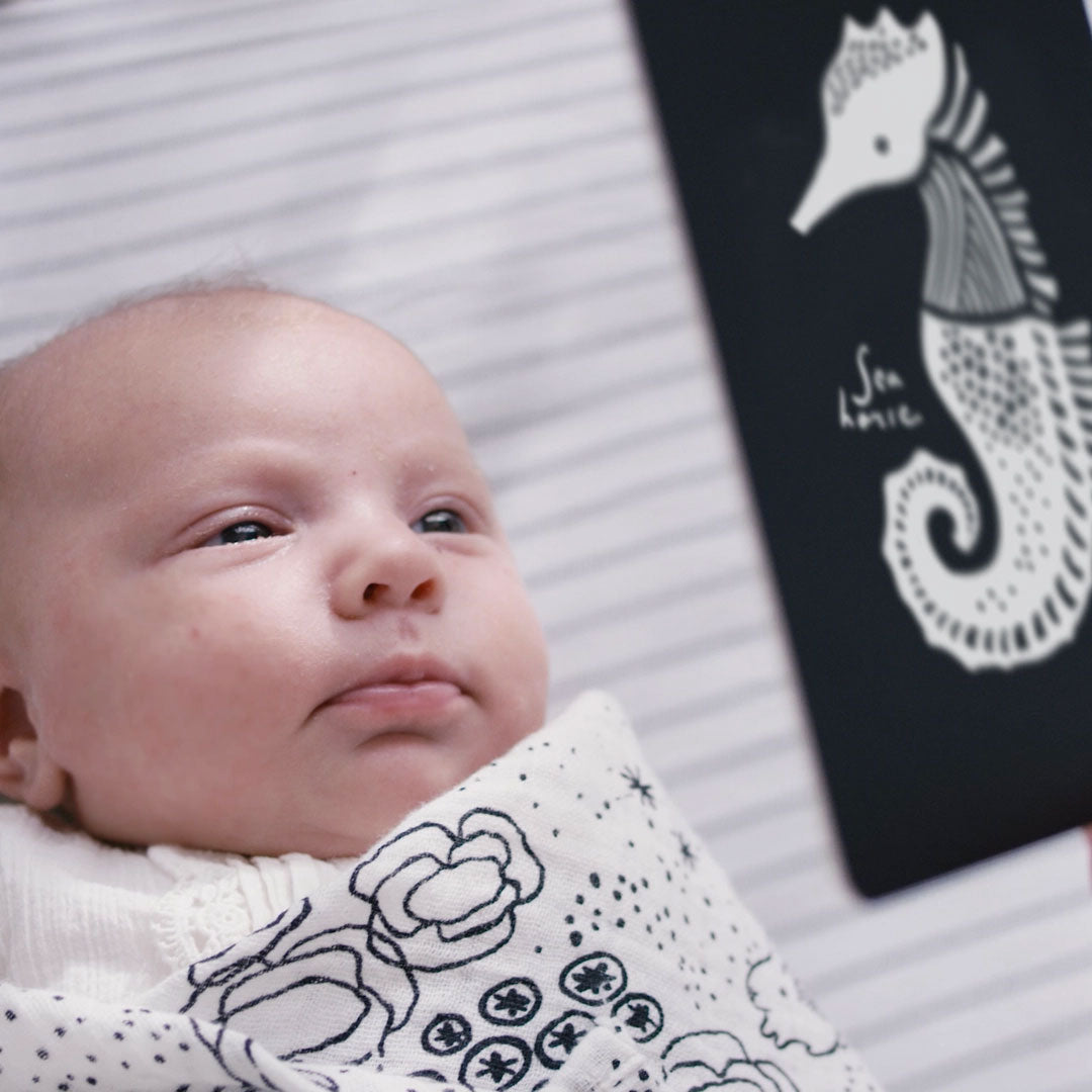 Cartes pour bébé en noir et blanc Wee Gallery - Océan - Lilinappy