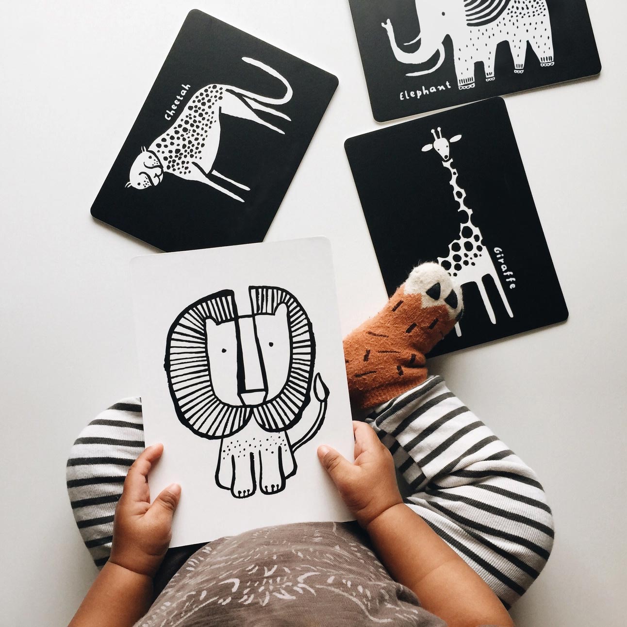 Cartes pour bébé en noir et blanc Wee Gallery - Safari - Lilinappy