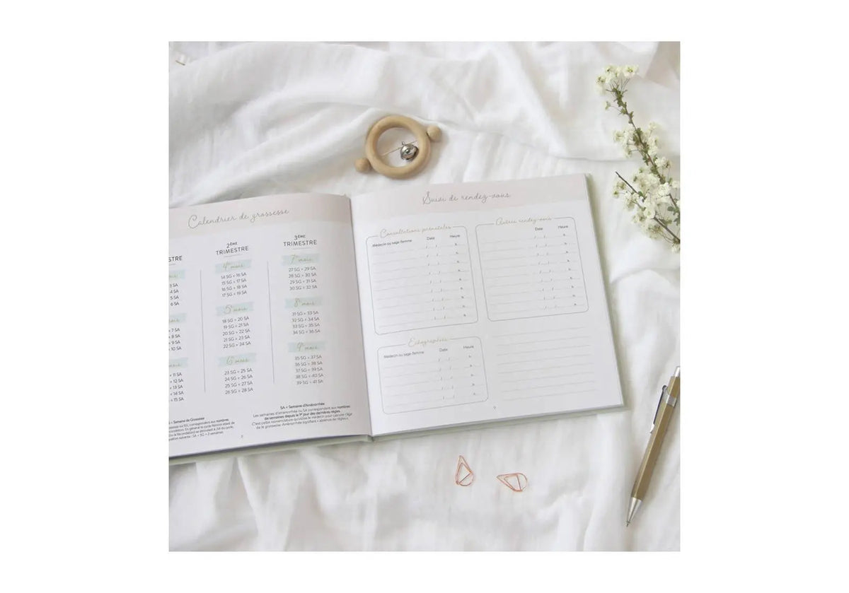 Journal de grossesse Zü 