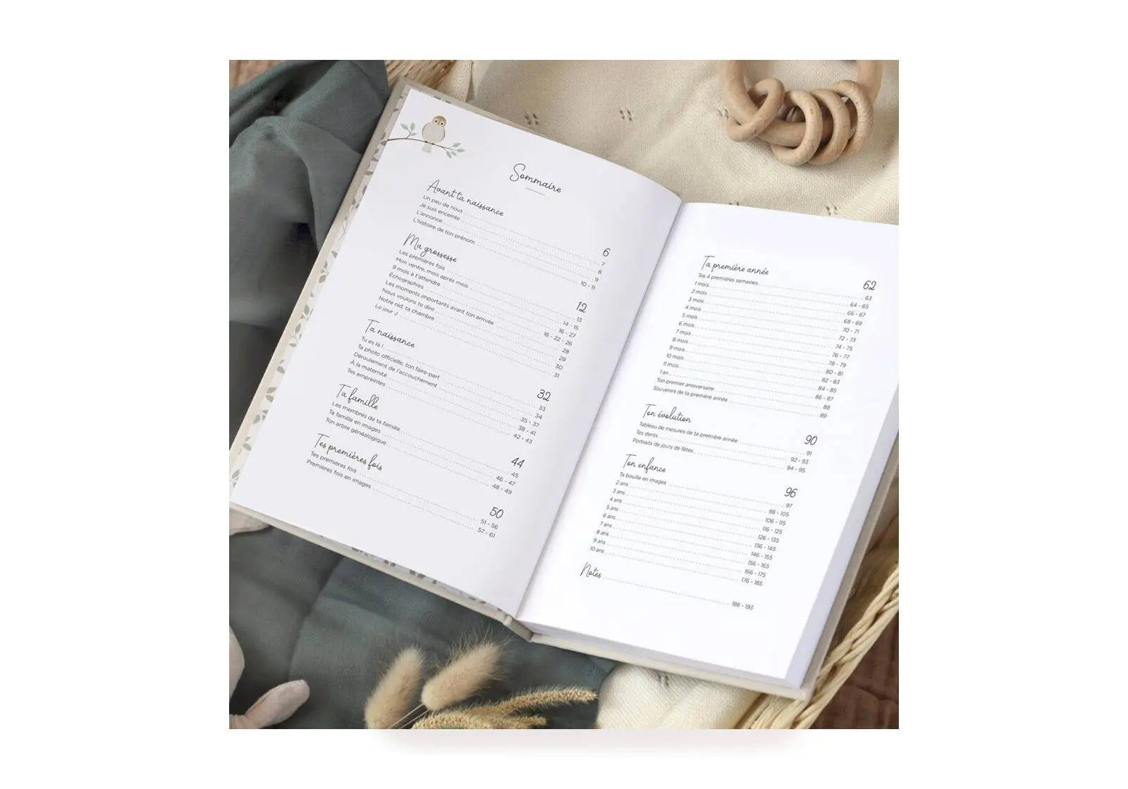 Livre Souvenirs tes 10 premières années Zü 